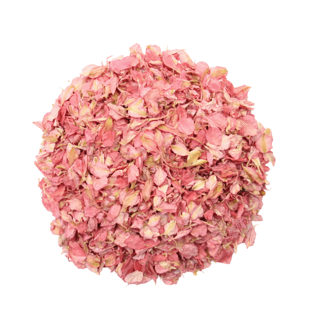 Pink Larkspur Petals