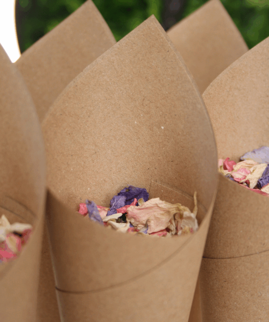 Plain Confetti Cones (10)