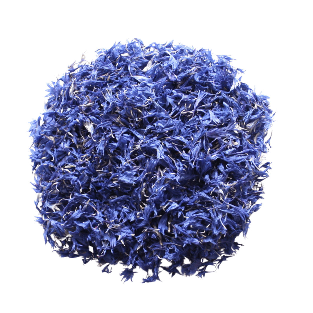 Blue Bird Cornflower Petals