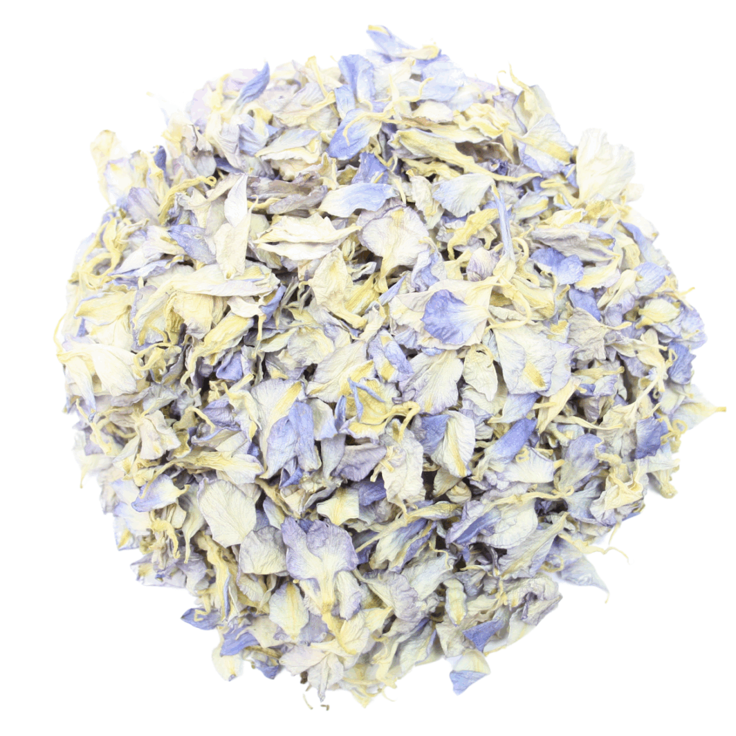Sea Breeze Blue Larkspur Petals