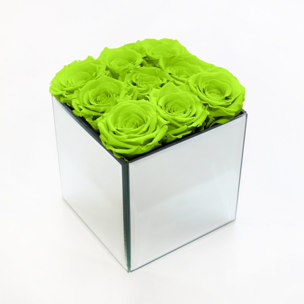 Bright Green Preserved Rose Box - Large