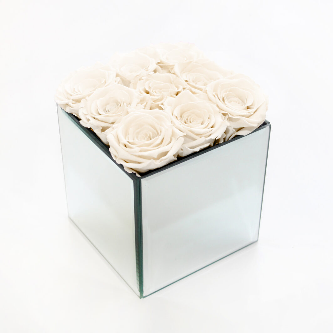 Ivory Preserved Rose Box - Large