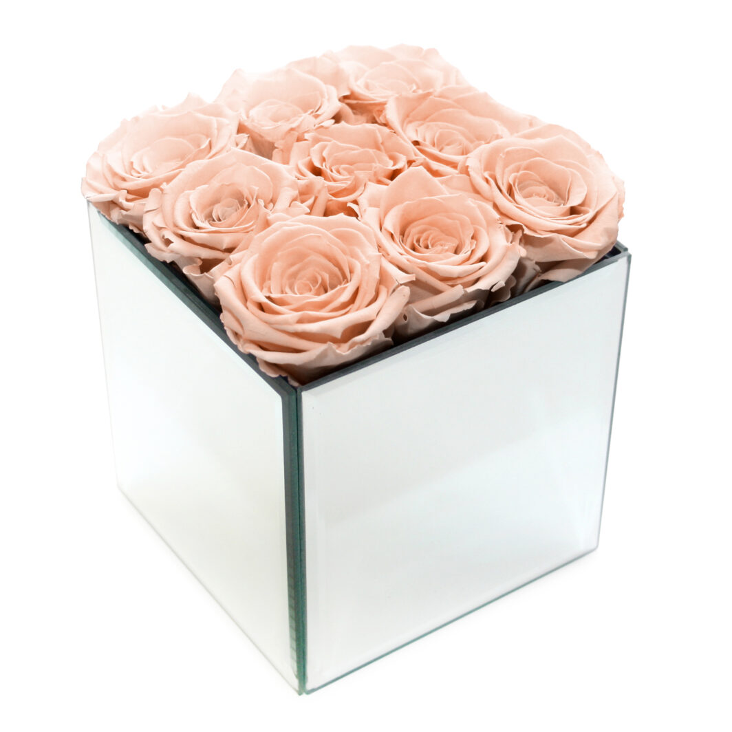 Peach Preserved Rose Box - Large