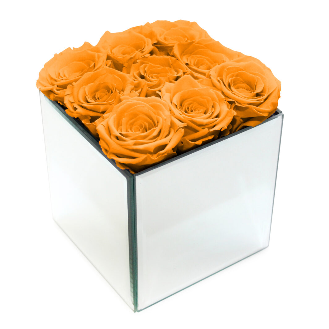 Orange Preserved Rose Box - Large