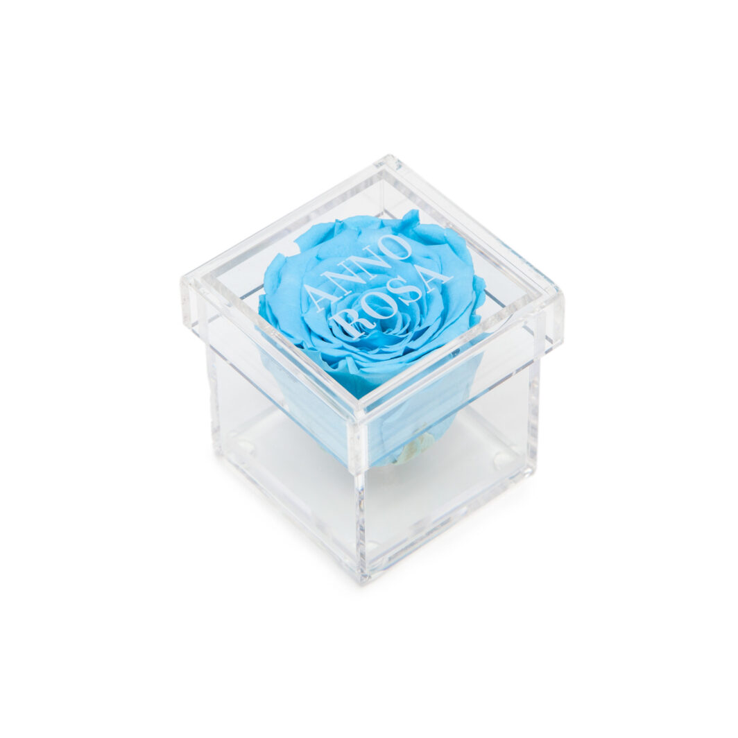Blue Preserved Rose Cube Amour