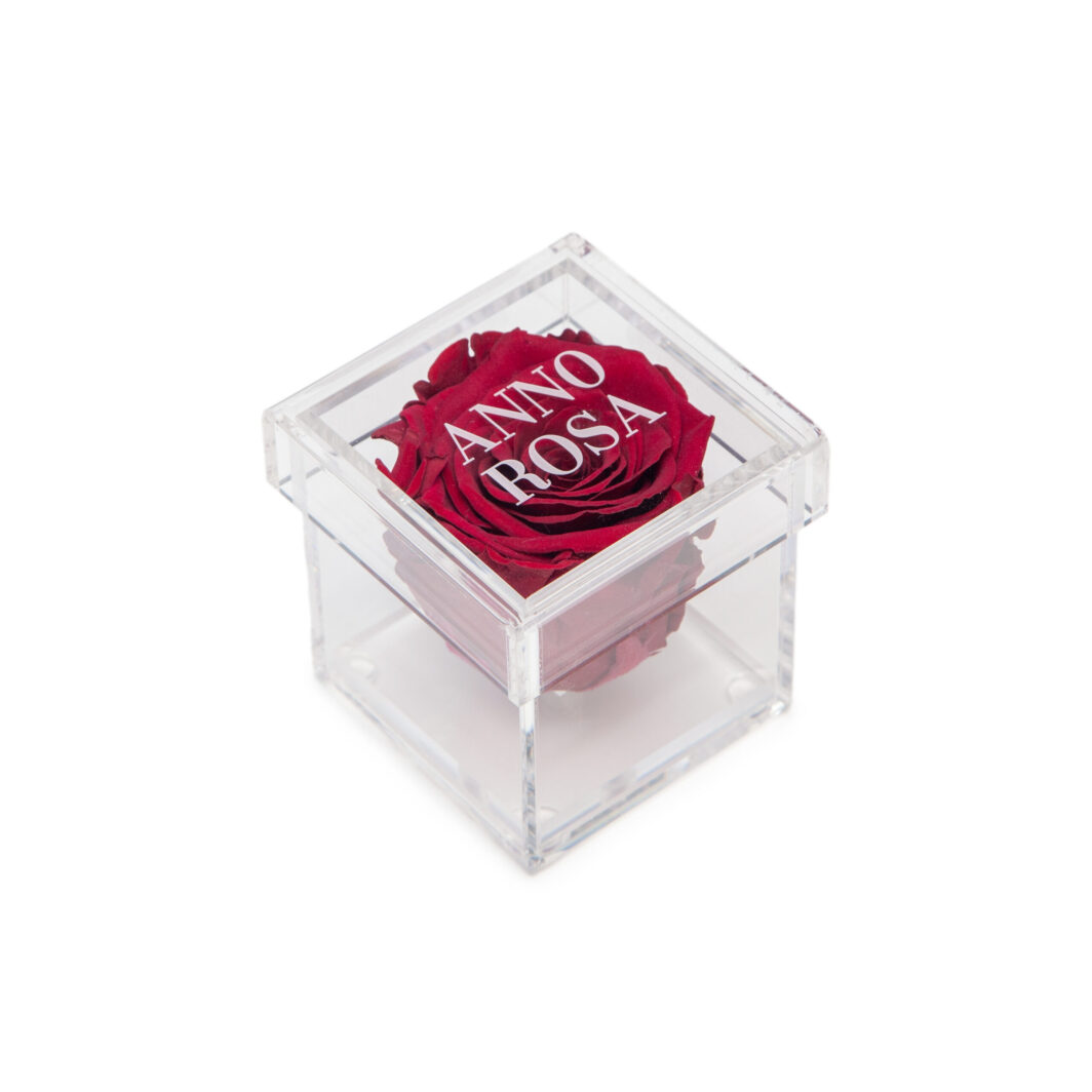 Burgundy Preserved Rose Cube Amour
