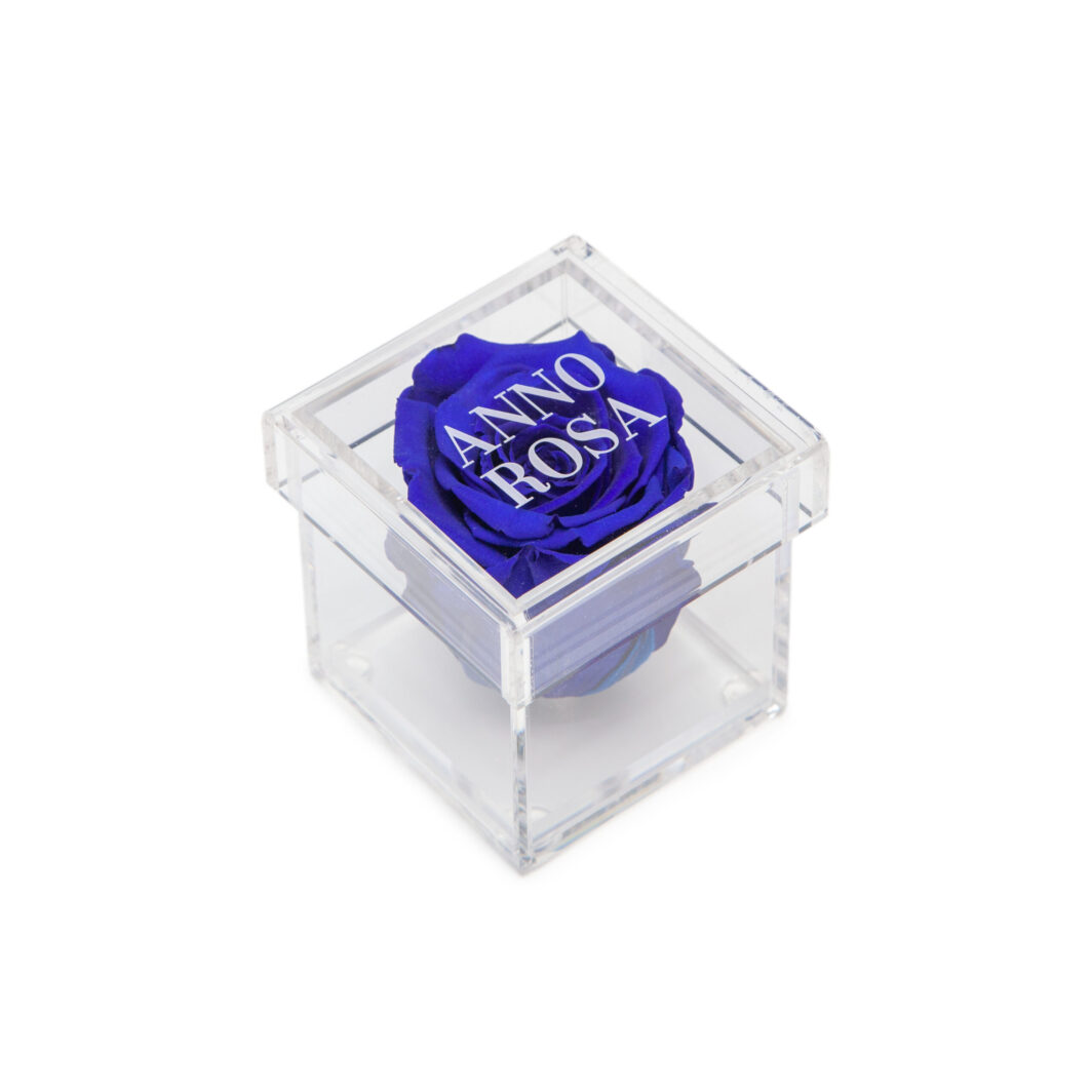 Dark Blue Preserved Rose Cube Amour