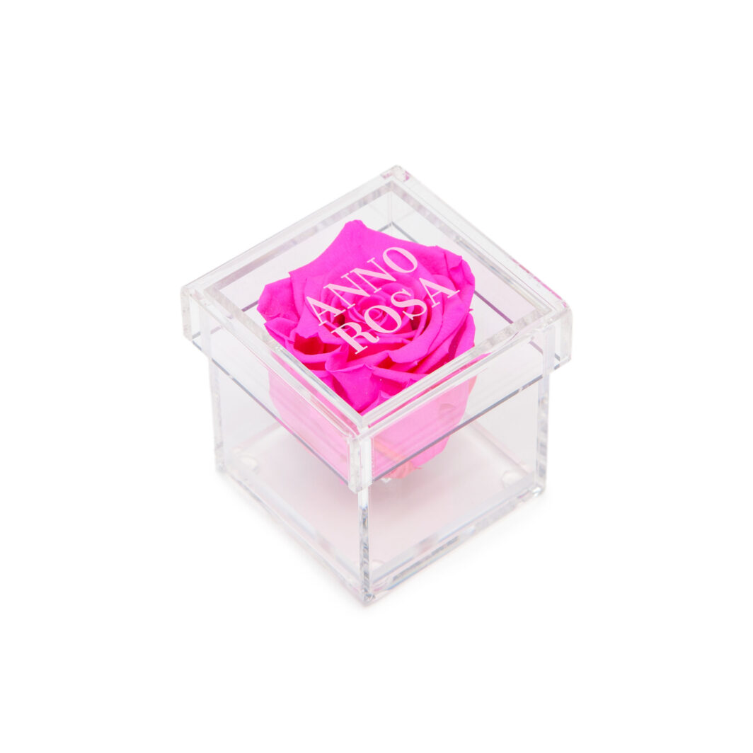 Hot Pink Preserved Rose Cube Amour