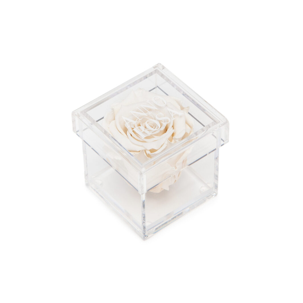 Ivory Preserved Rose Cube Amour