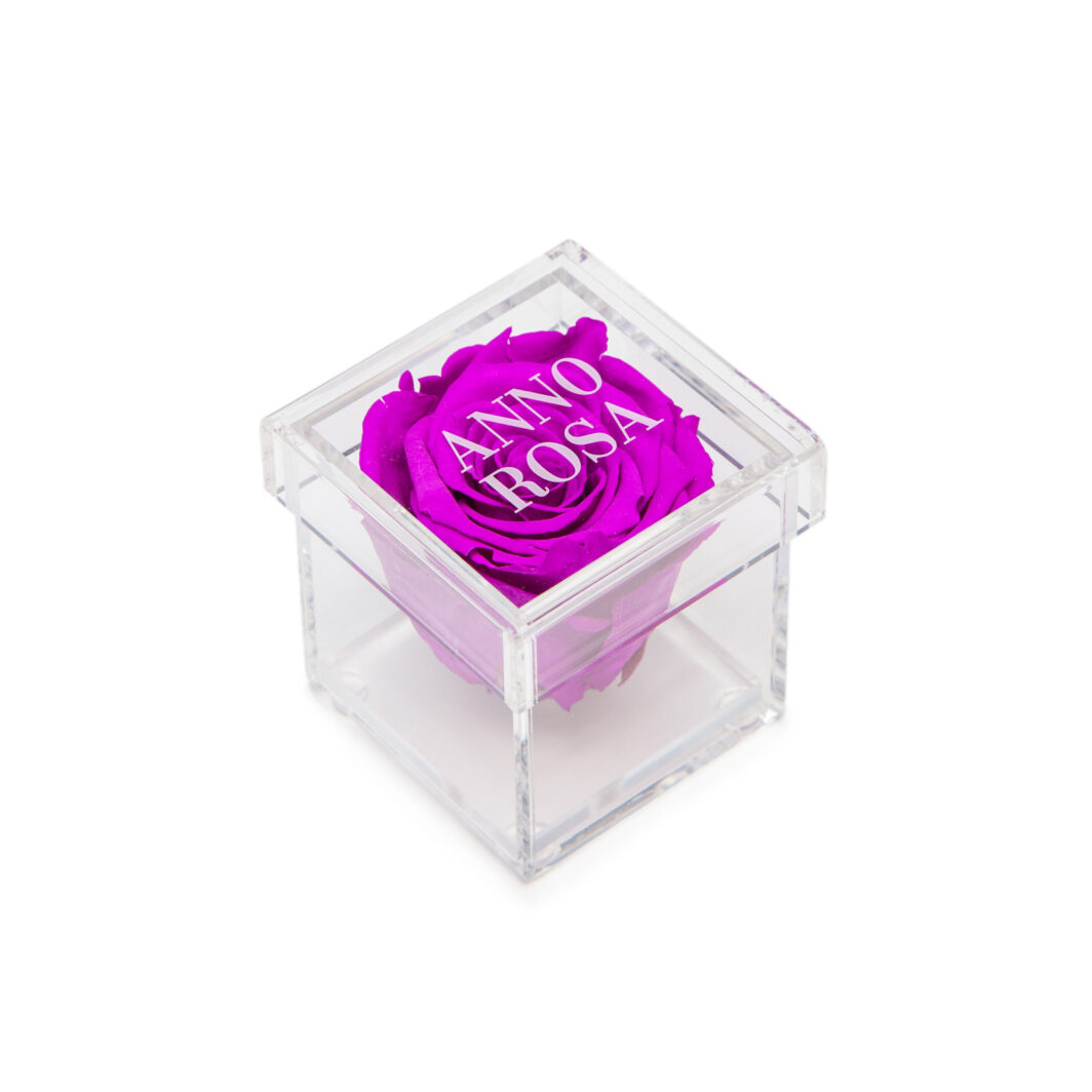 Purple Preserved Rose Cube Amour