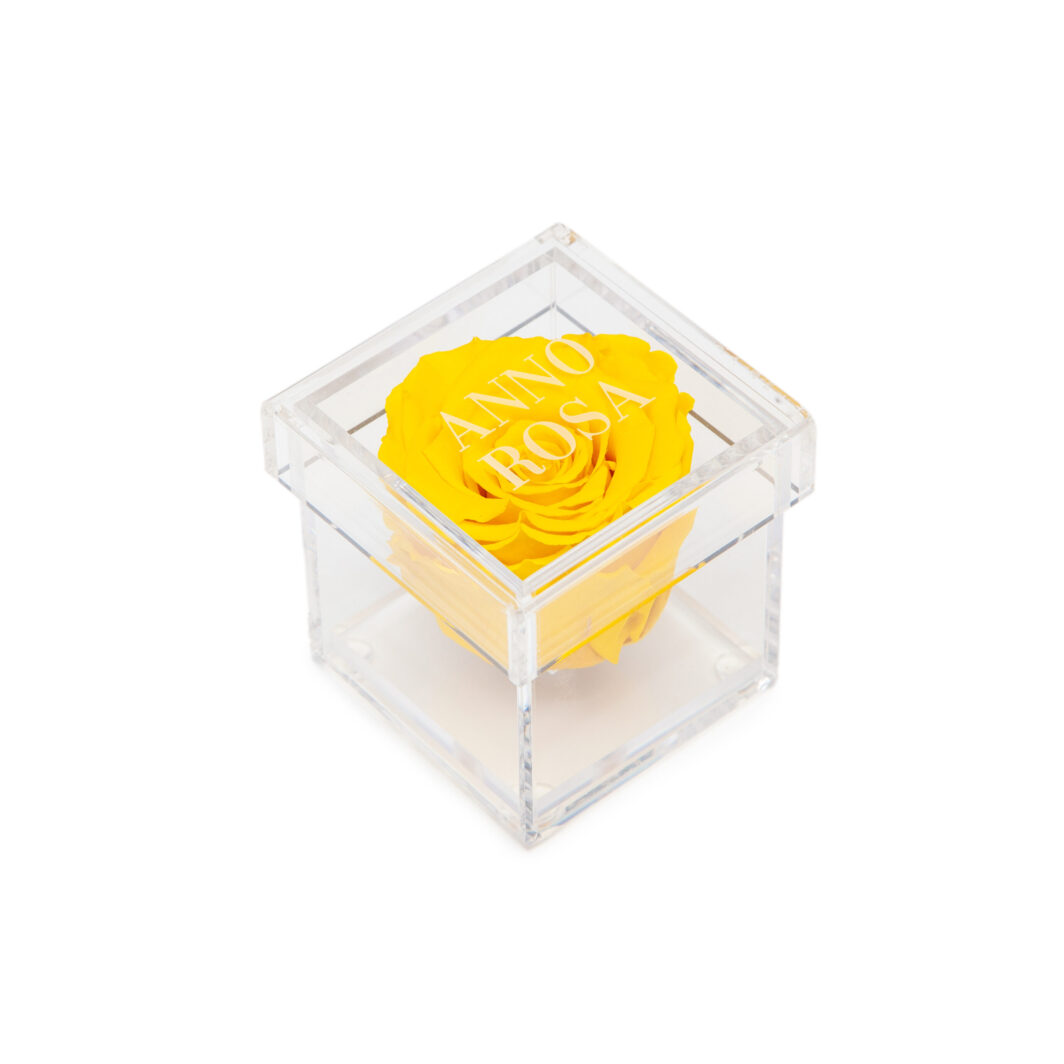 Yellow Preserved Rose Cube Amour