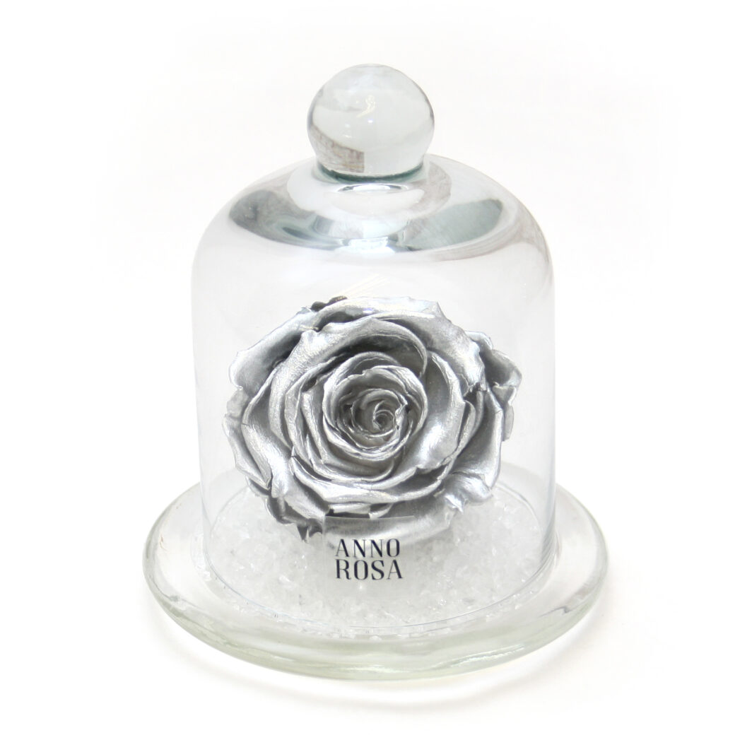 Silver Belle Style Preserved Rose