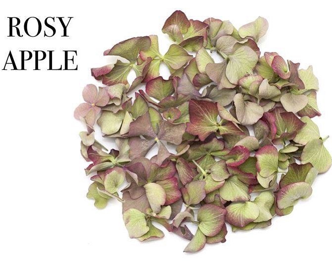 Biodegradable Autumn Petals. Biodegradable Autumn Petals.