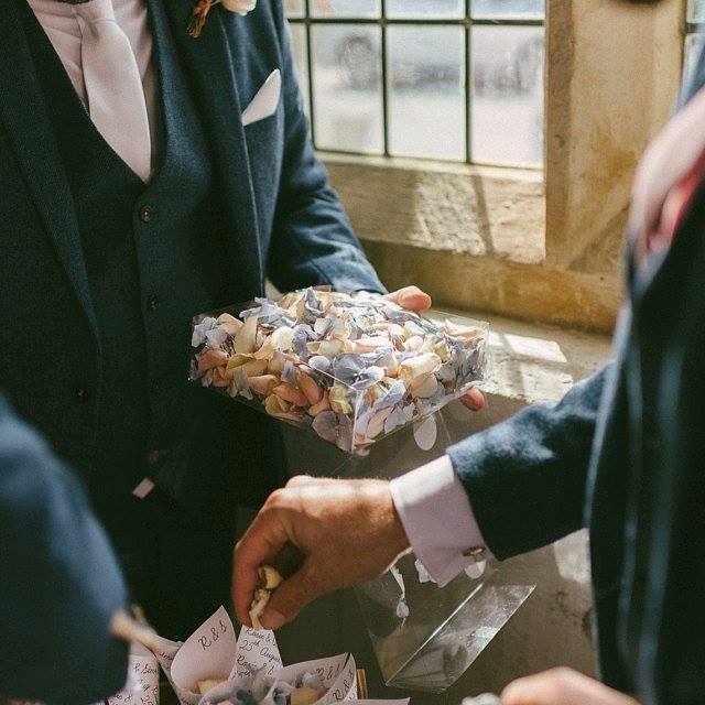 Biodegradable Confetti Petals Biodegradable Confetti Petals