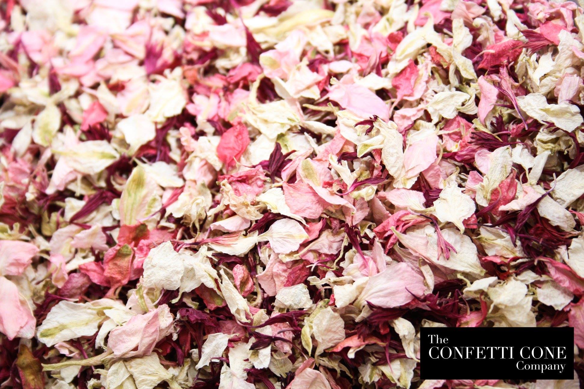 Why choose biodegradable wedding confetti? Why choose biodegradable wedding confetti?