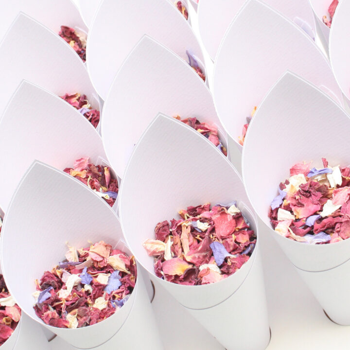 Wedding Essential Confetti Cone Package Wedding Essential Confetti Cone Package