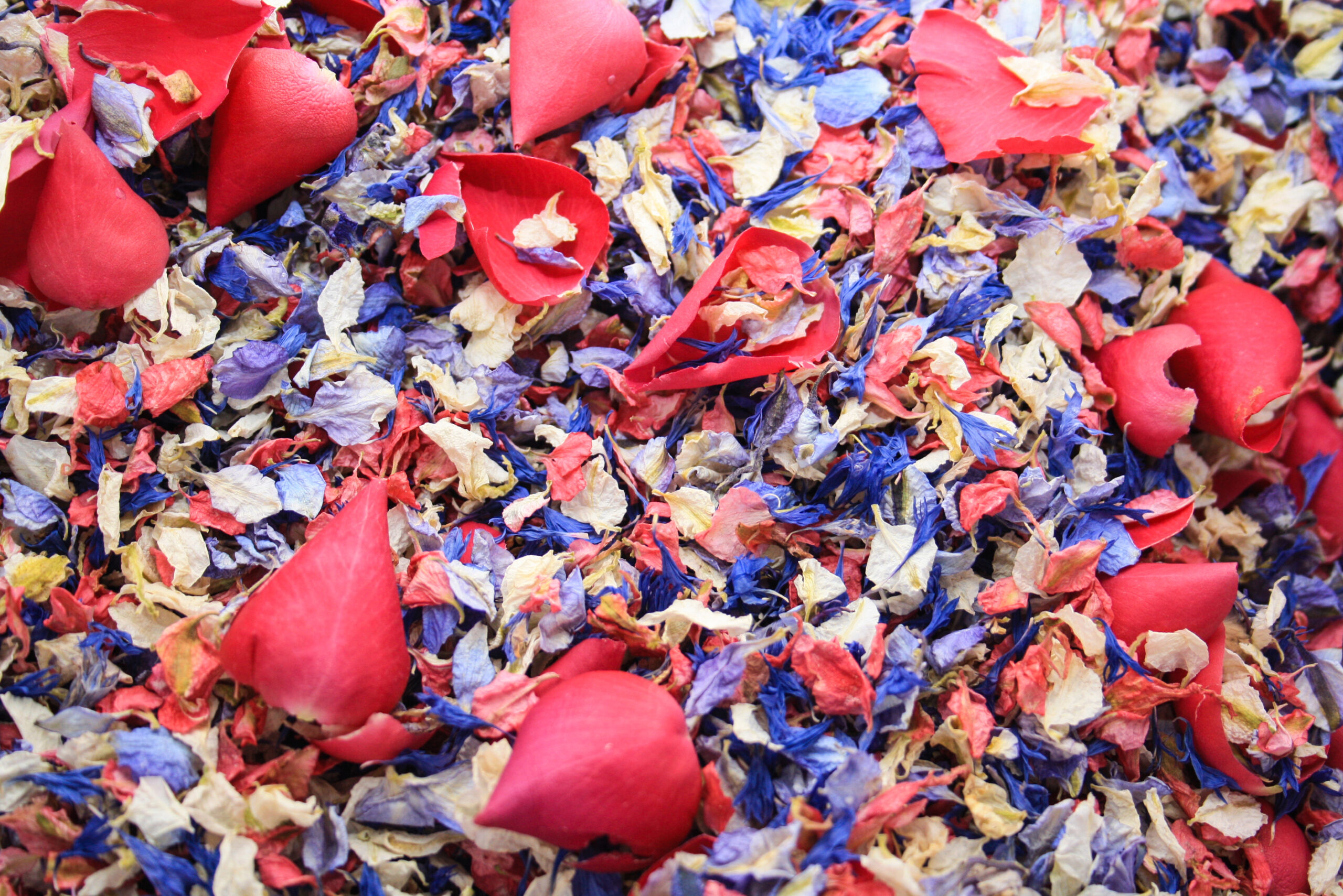Pre-Order Wedding Confetti and Wedding Confetti Cones for 2019! Pre-Order Wedding Confetti and Wedding Confetti Cones for 2019!