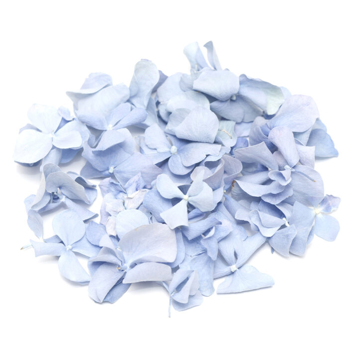 Ocean Hydrangea Petals Ocean Hydrangea Petals