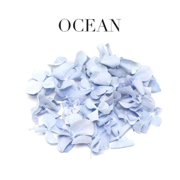 Ocean Biodegradable Hydrangea Petals Ocean Biodegradable Hydrangea Petals