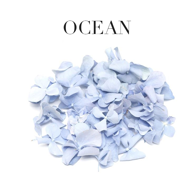 Ocean Biodegradable Hydrangea Petals Ocean Biodegradable Hydrangea Petals
