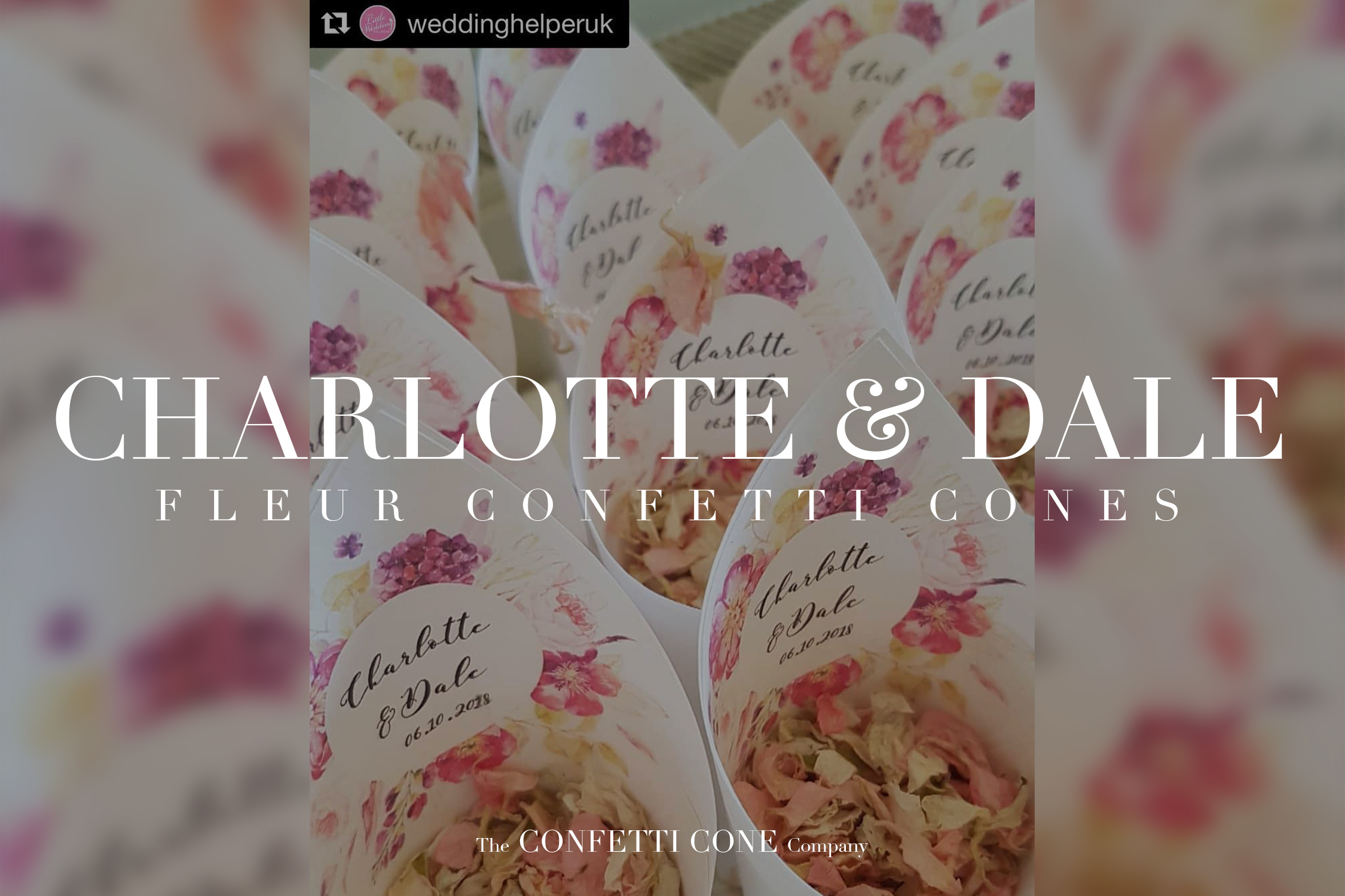 Charlotte & Dale Fleur Cones Charlotte & Dale Fleur Cones