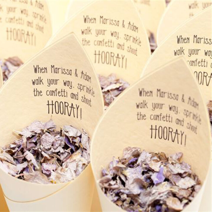 Modern Hooray Confetti Cone Package Modern Hooray Confetti Cone Package