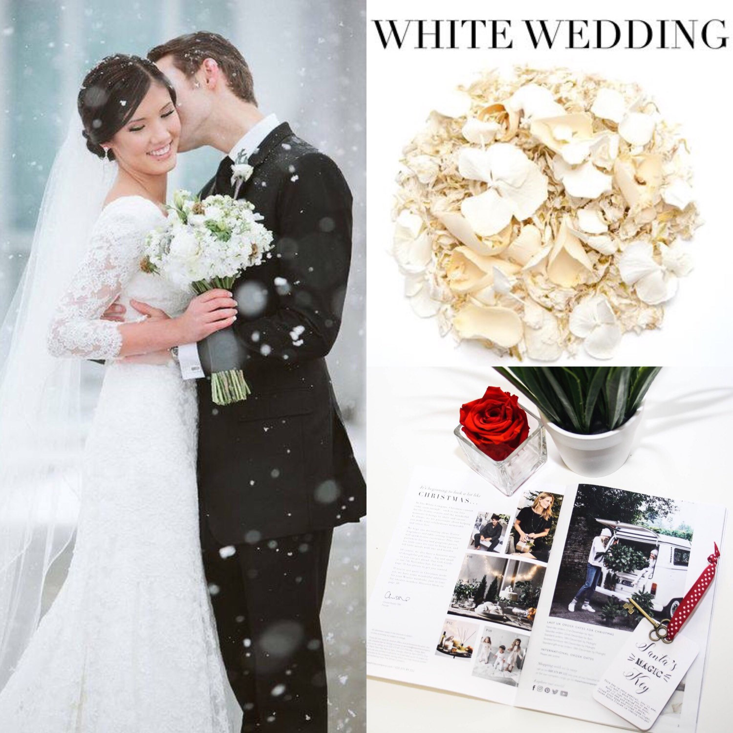 Winter Wedding | Biodegradable Wedding Confetti Winter Wedding | Biodegradable Wedding Confetti