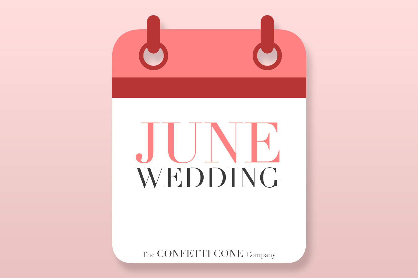 June Wedding With Biodegradable Wedding Confetti June Wedding With Biodegradable Wedding Confetti