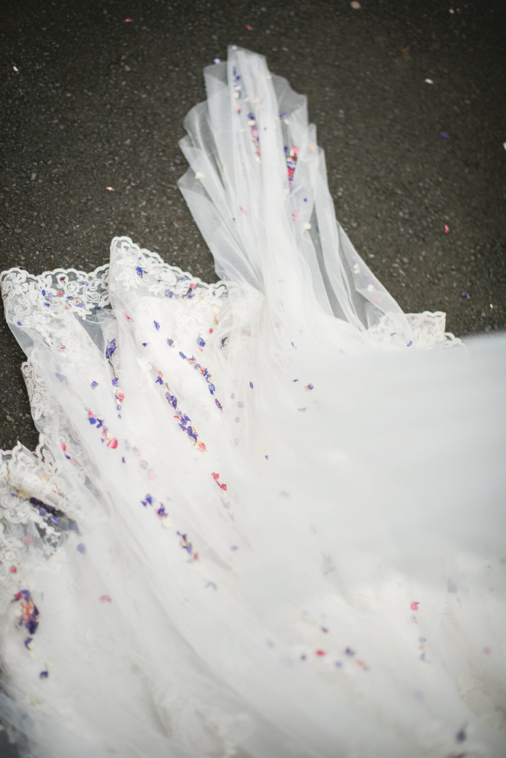 Wedding Confetti Cones and Biodegradable Wedding Confetti Petals Wedding Confetti Cones and Biodegradable Wedding Confetti Petals