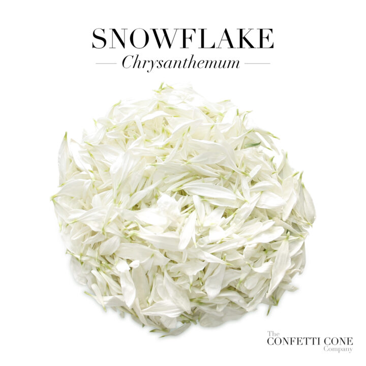 NEW Chrysanthemum Petals NEW Chrysanthemum Petals