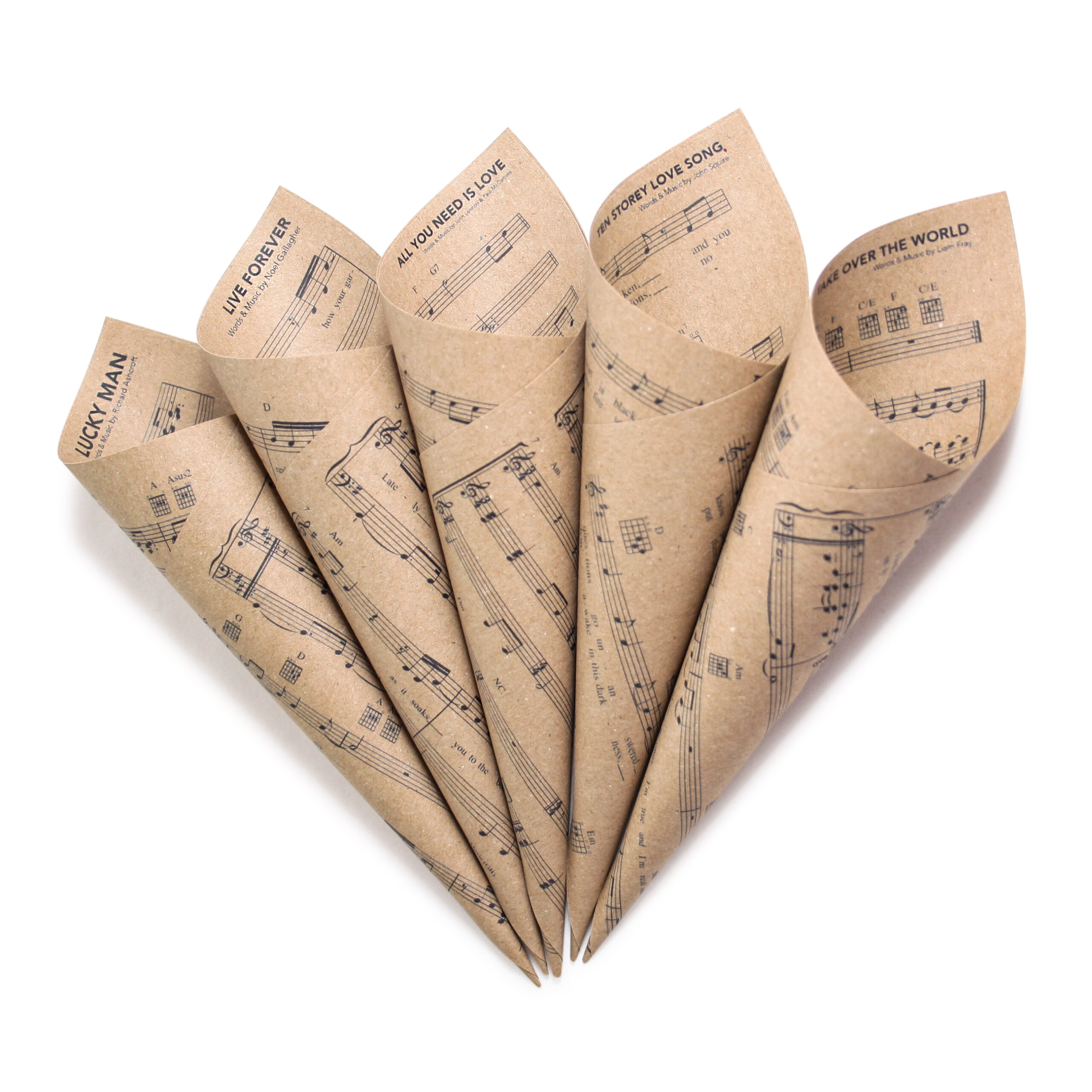 Music Festival Inspired Wedding Confetti Cones