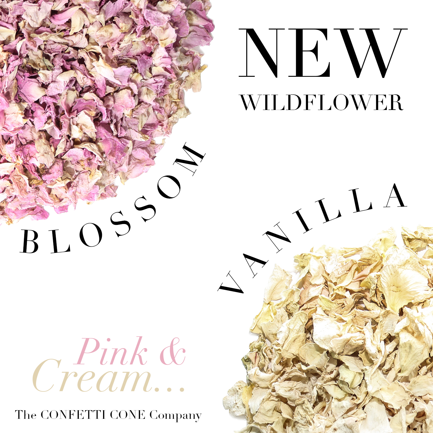NEW Biodegradable Wildflower Confetti Mixes NEW Biodegradable Wildflower Confetti Mixes