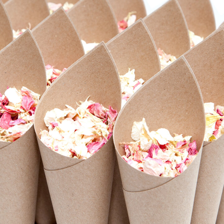 Plain Confetti Cones Plain Confetti Cones
