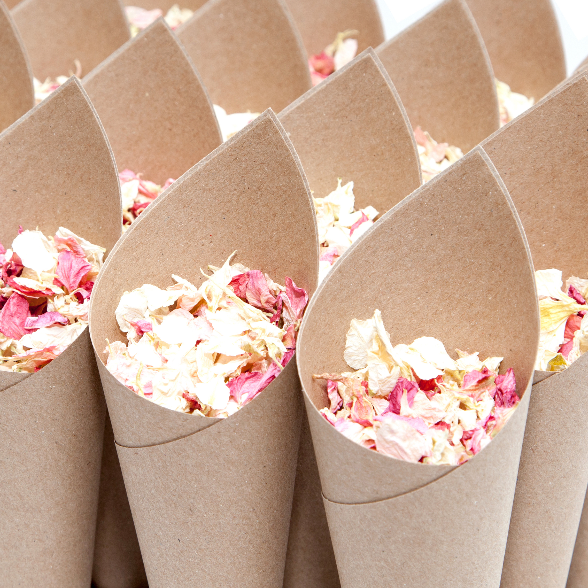 Plain Confetti Cones Plain Confetti Cones