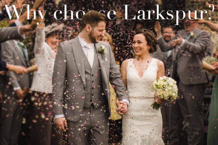 Why choose larkspur as your wedding confetti petals? Why choose larkspur as your wedding confetti petals?